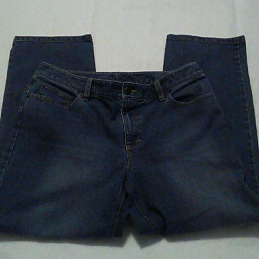 Ann Taylor Loft Stretch Denim Jeans